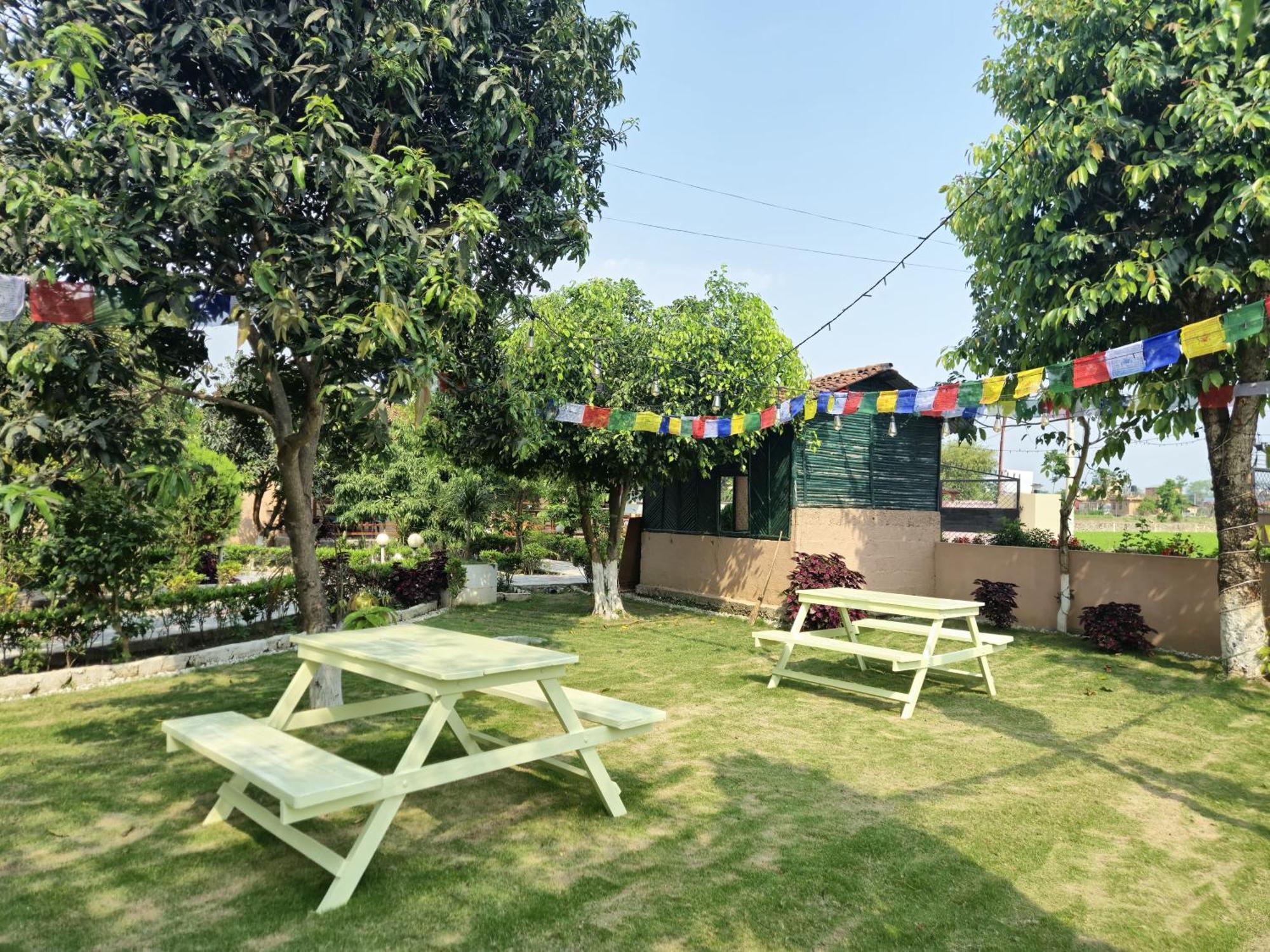 Hotel Tree Tops Sauraha Exterior foto